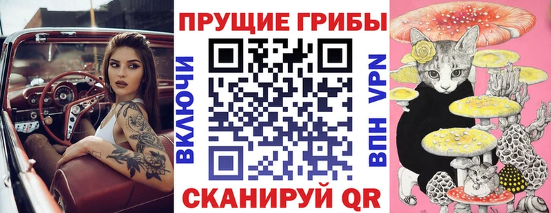 KRAKEN ONION  Балахна  Галлюциногенные грибы Magic Shrooms  хочу  